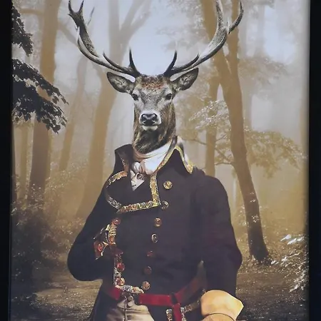 Schorn³ Appartement Zell