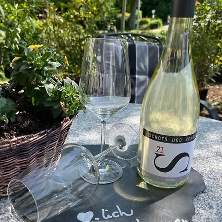 Schorn³ Apartmán *